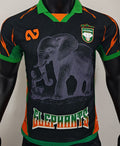 Maillot Cameroon 2026 (Version Joueur)