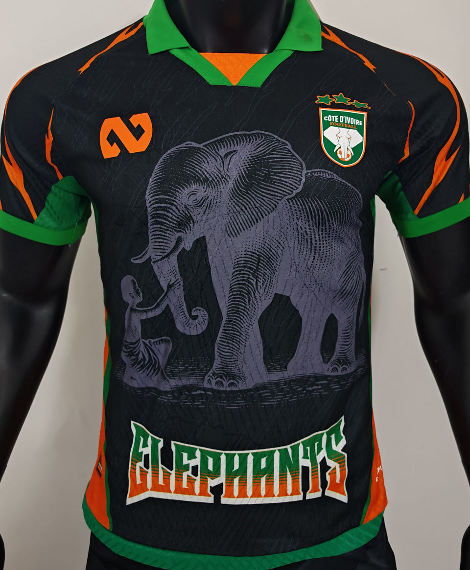 Maillot Cameroon 2026 (Version Joueur)