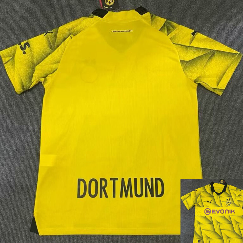Maillot Dortmund 2023/24