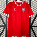 Maillot Denmark Domicile 2024/25