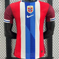 Maillot Norway Hoem 2024/25 (Version Joueur)