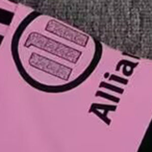 Maillot Botafogo Gardien 2025/26
