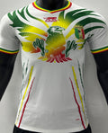 Maillot Mali Domicile 2023/24 (Version Joueur)