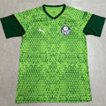 Maillot Palmeiras 2024/25