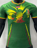 Maillot Mali Extérieur 2023/24 (Version Joueur)
