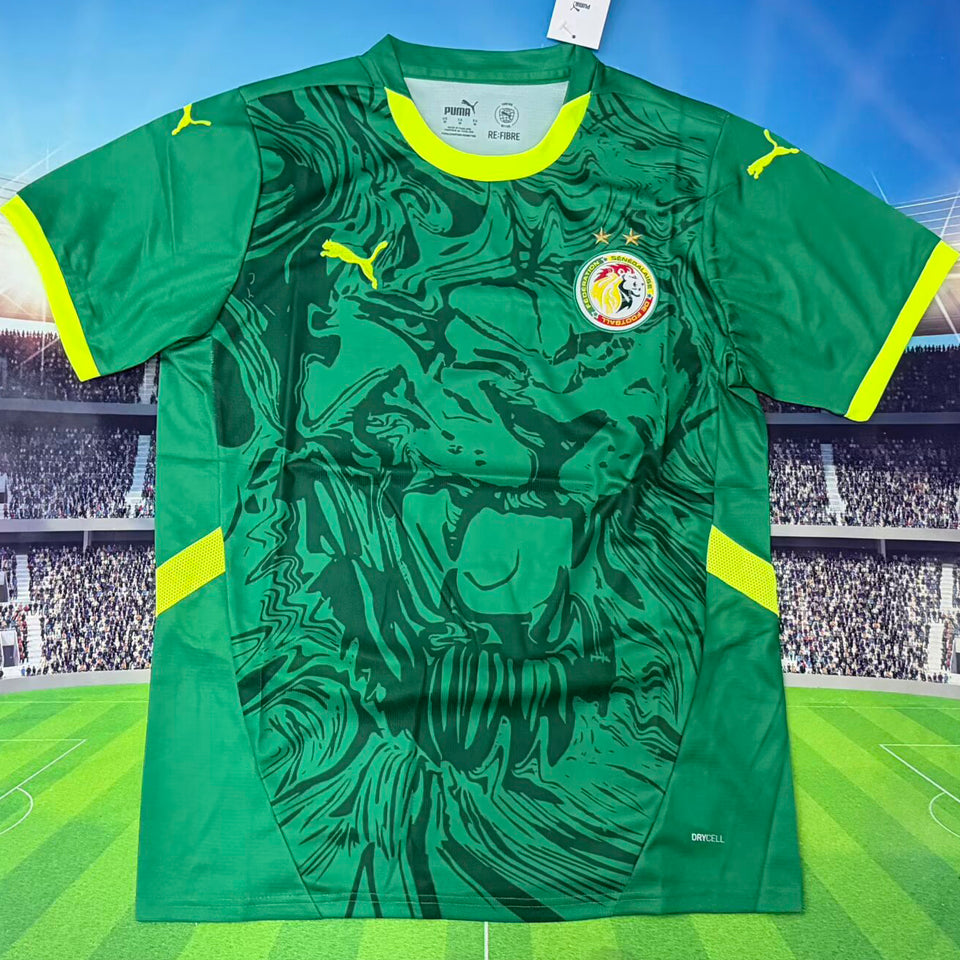 Maillot Senegal Extérieur 2025