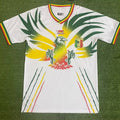 Maillot Mali Extérieur 2023/24