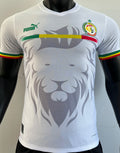 Maillot Senegal 2023/24 (Version Joueur)