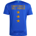Maillot Argentine Extérieur 2024/25