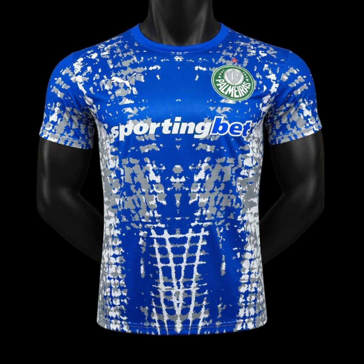 Maillot Palmeiras Gardien 2025/26 (Version Joueur)