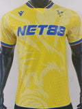 Maillot Crystal Palace Extérieur 2024/25 (Version Joueur)