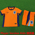 Maillot Pays-Bas Domicile 2024/25 Enfant (Version Joueur)