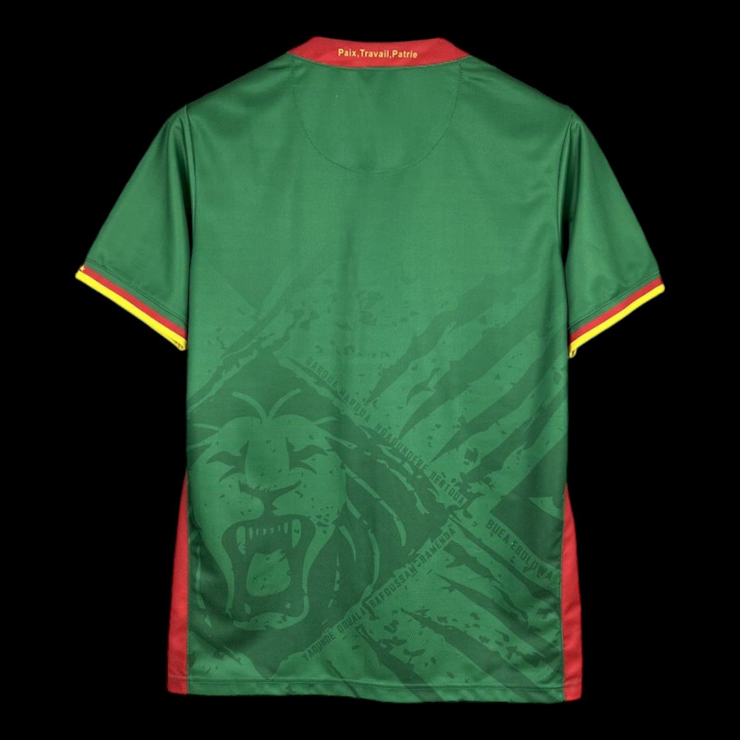 Maillot Cameroun Domicile 2025/26