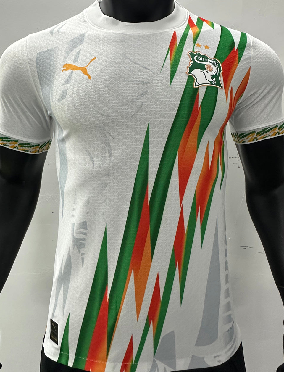 Maillot Ivory Coast 2024 (Version Joueur)