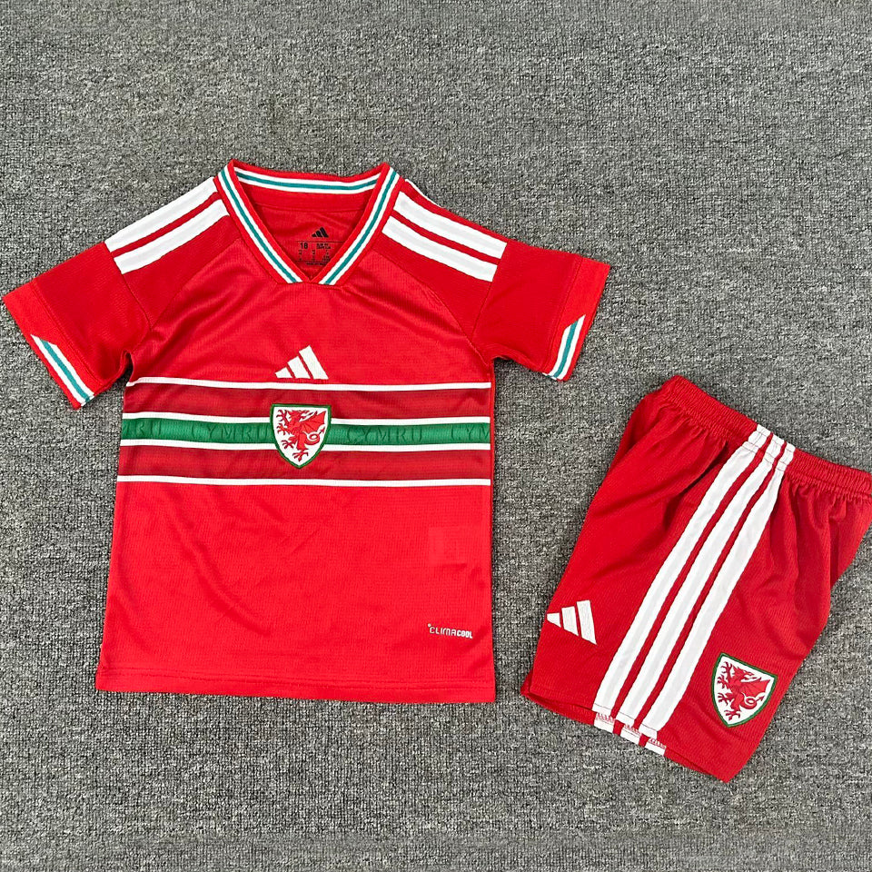 Maillot Wales Domicile 2026/27 Enfant