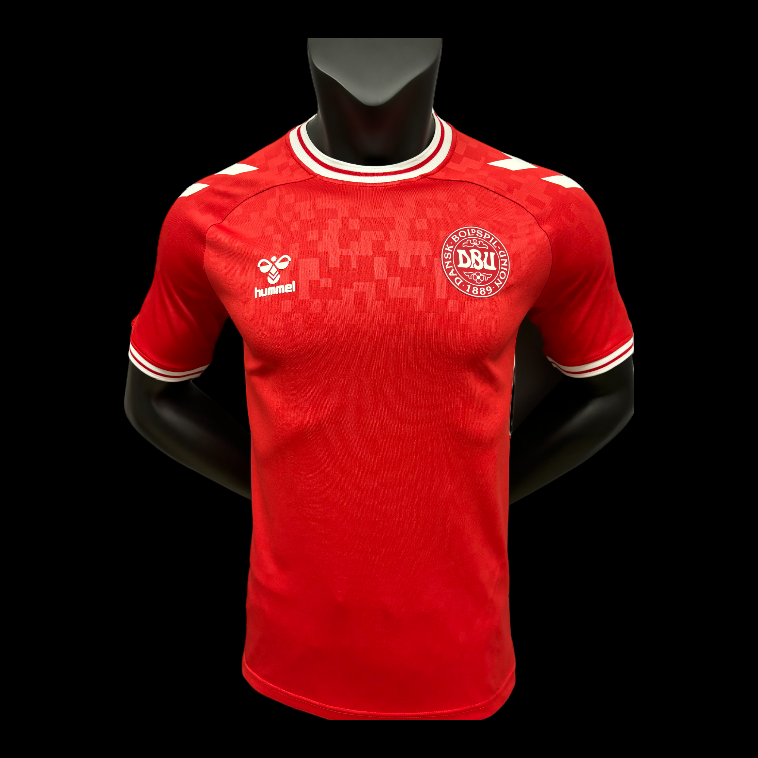 Maillot Danemark Domicile 2024/25 (Version Joueur)