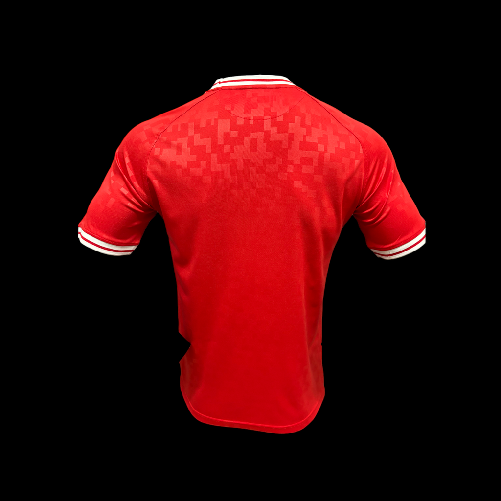 Maillot Danemark Domicile 2024/25 (Version Joueur)