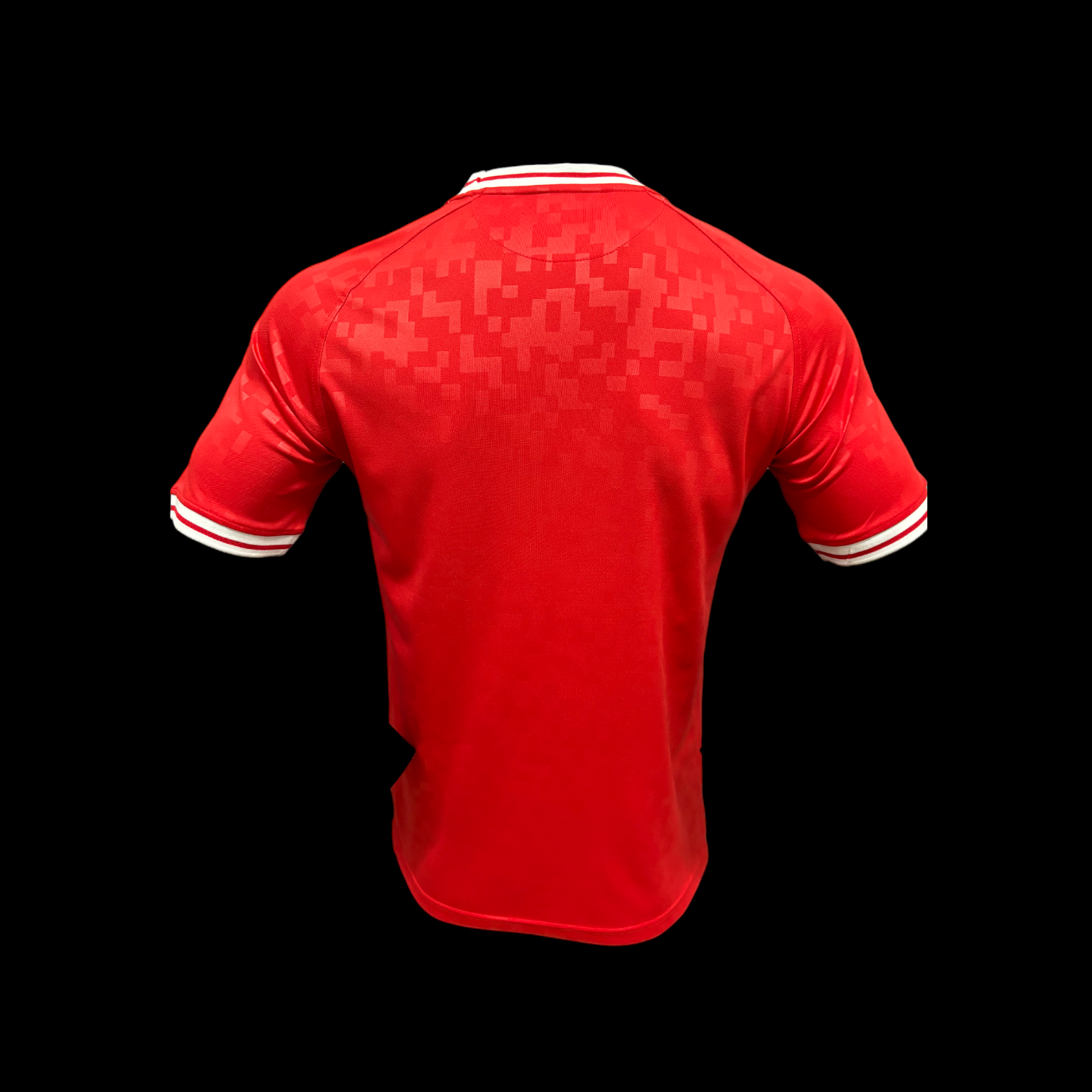 Maillot Danemark Domicile 2024/25 (Version Joueur)