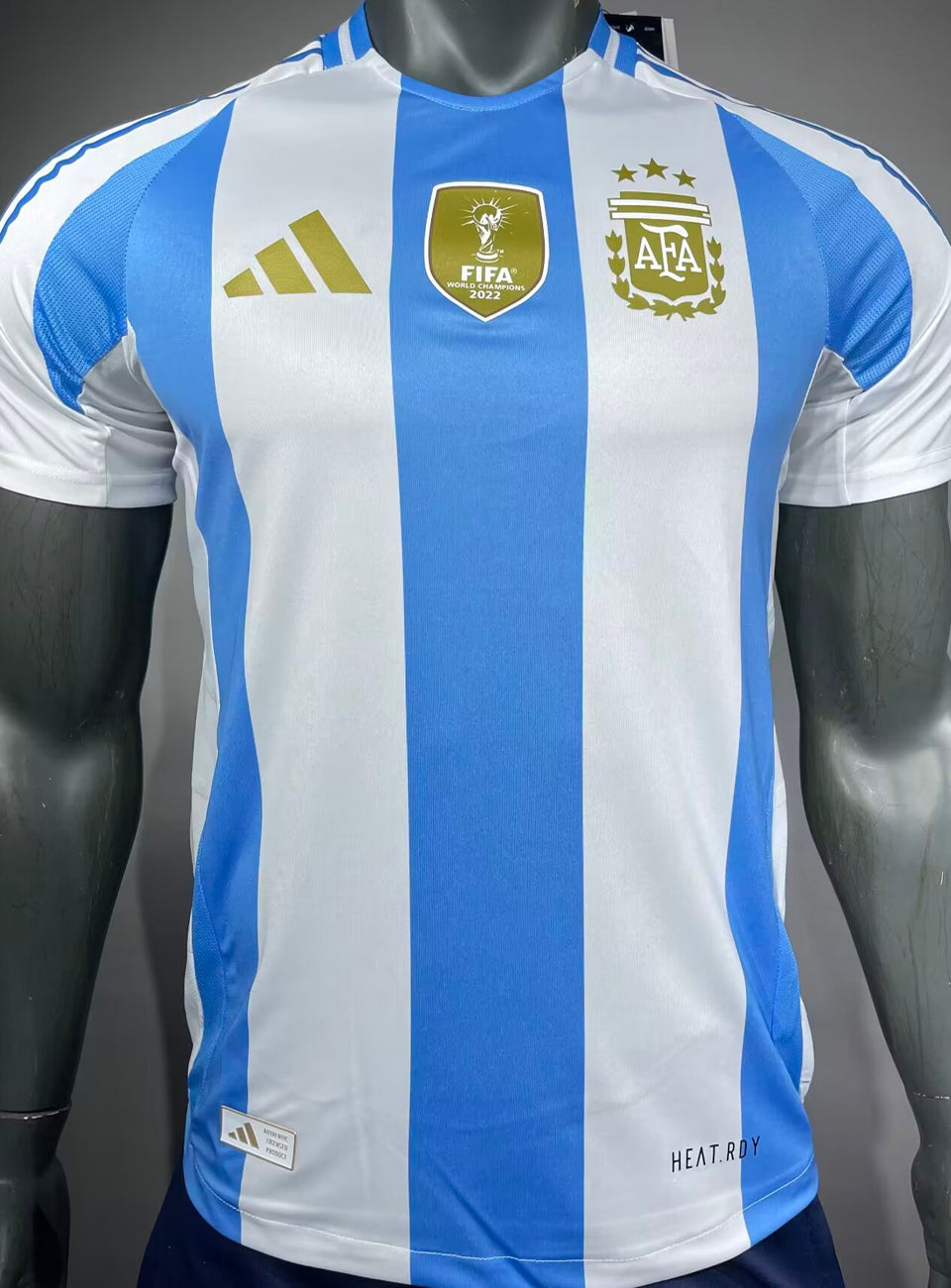 Maillot Argentine Domicile 2024/25 (Version Joueur)