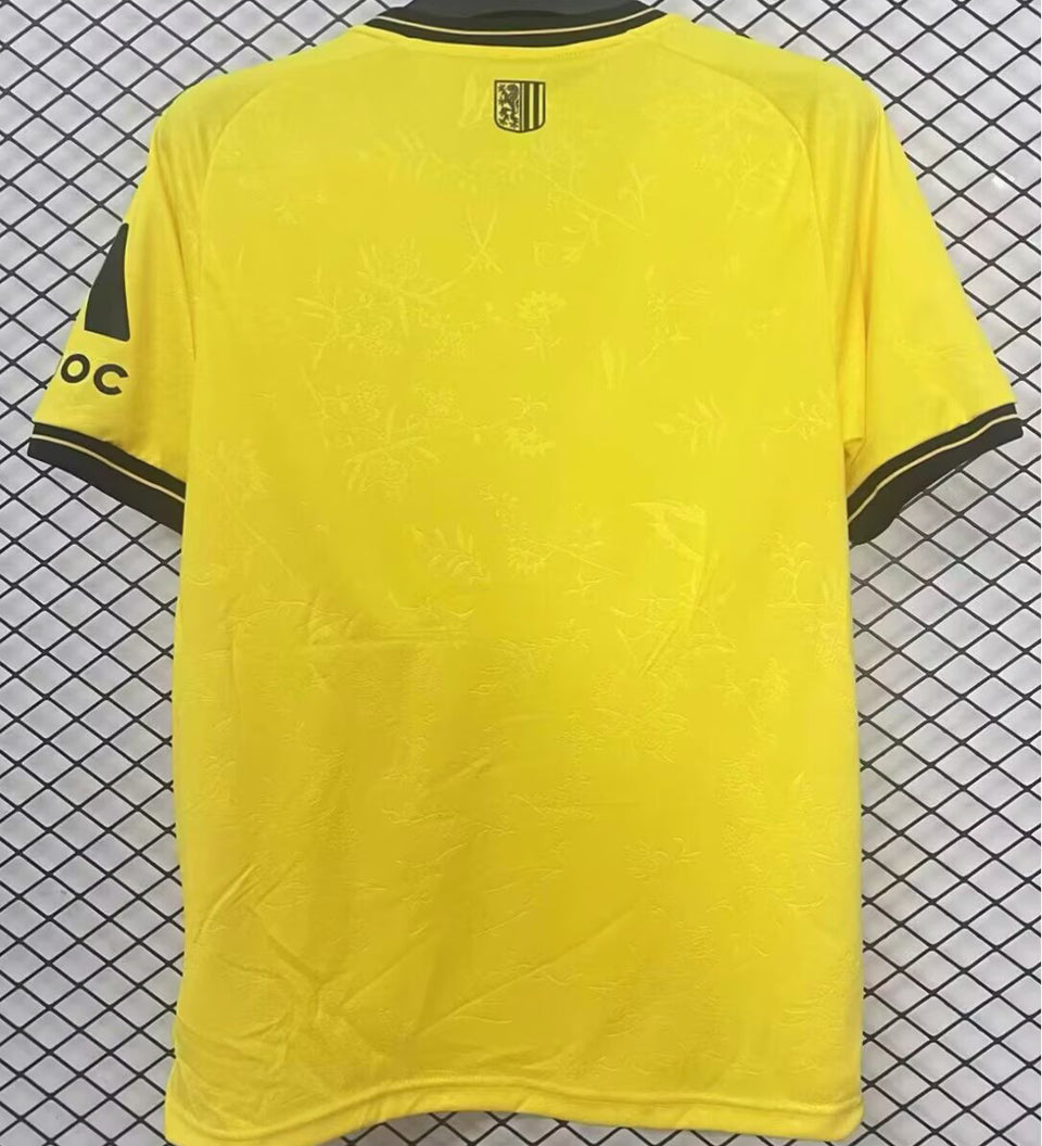 Maillot 26 Dynamo Dresden Hoem 2025