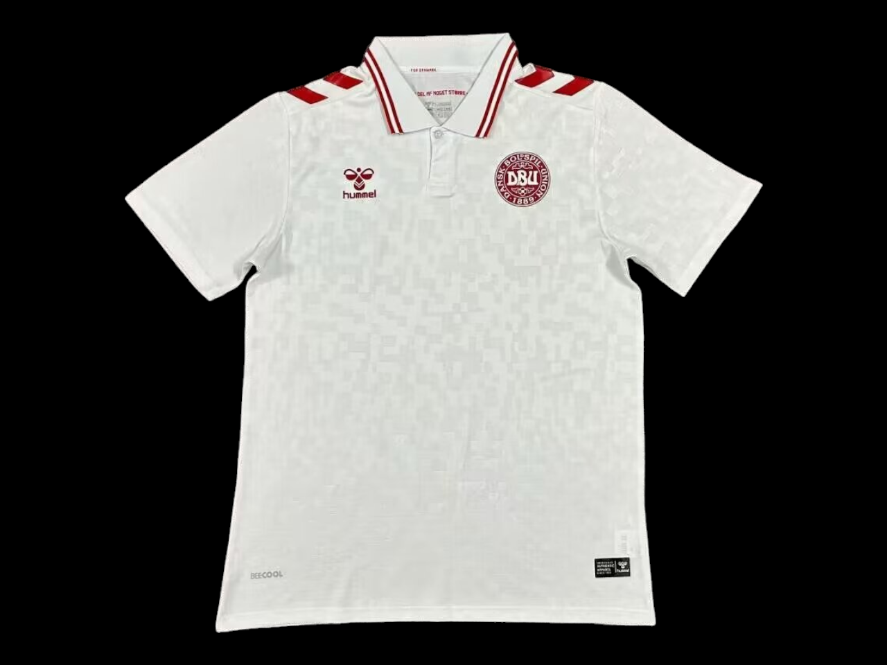 Maillot Danemark Extérieur 2024/25