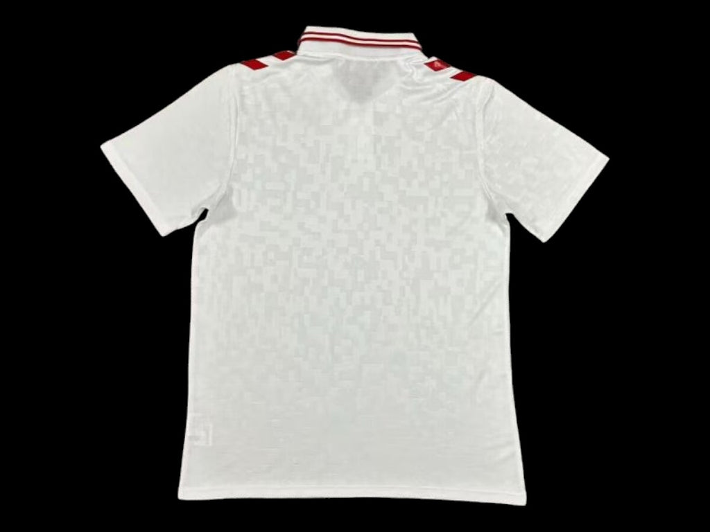 Maillot Danemark Extérieur 2024/25
