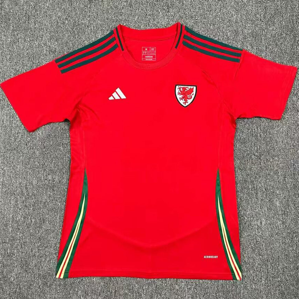 Maillot Wales Domicile 2024/25