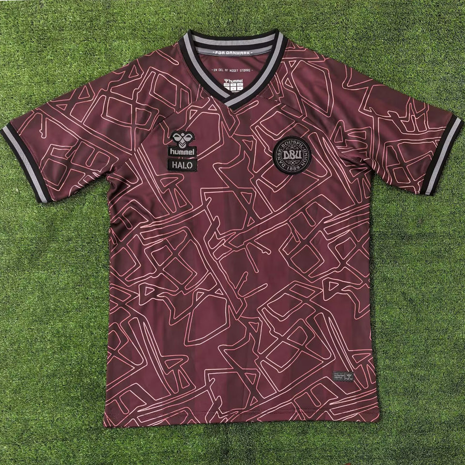 Maillot Denmark Halo 2024/25