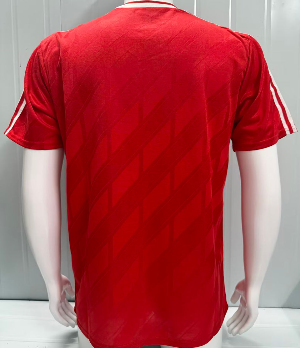 Maillot Botafogo Domicile Rétro