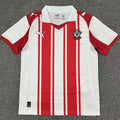Maillot Southampton Domicile