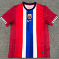 Maillot Norway Hoem 2024/25