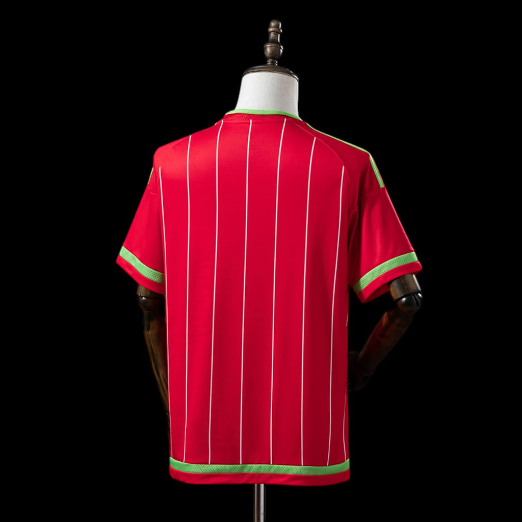 Maillot Pays de Galles Domicile 2015/16