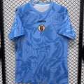 Maillot Haiti Gardien 2026/27