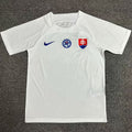 Maillot Slovakia Extérieur 2024/25