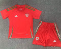 Maillot Wales Domicile 2024/25 Enfant