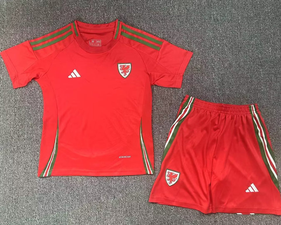 Maillot Wales Domicile 2024/25 Enfant