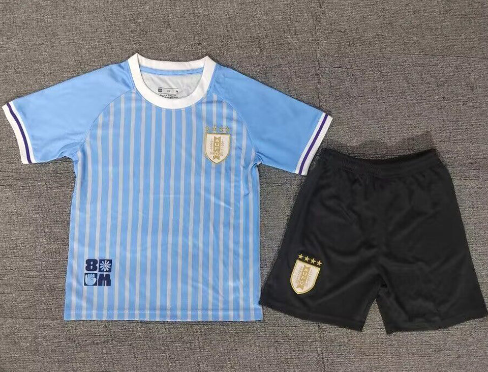 Maillot Uruguay Domicile 2024/25 Enfant
