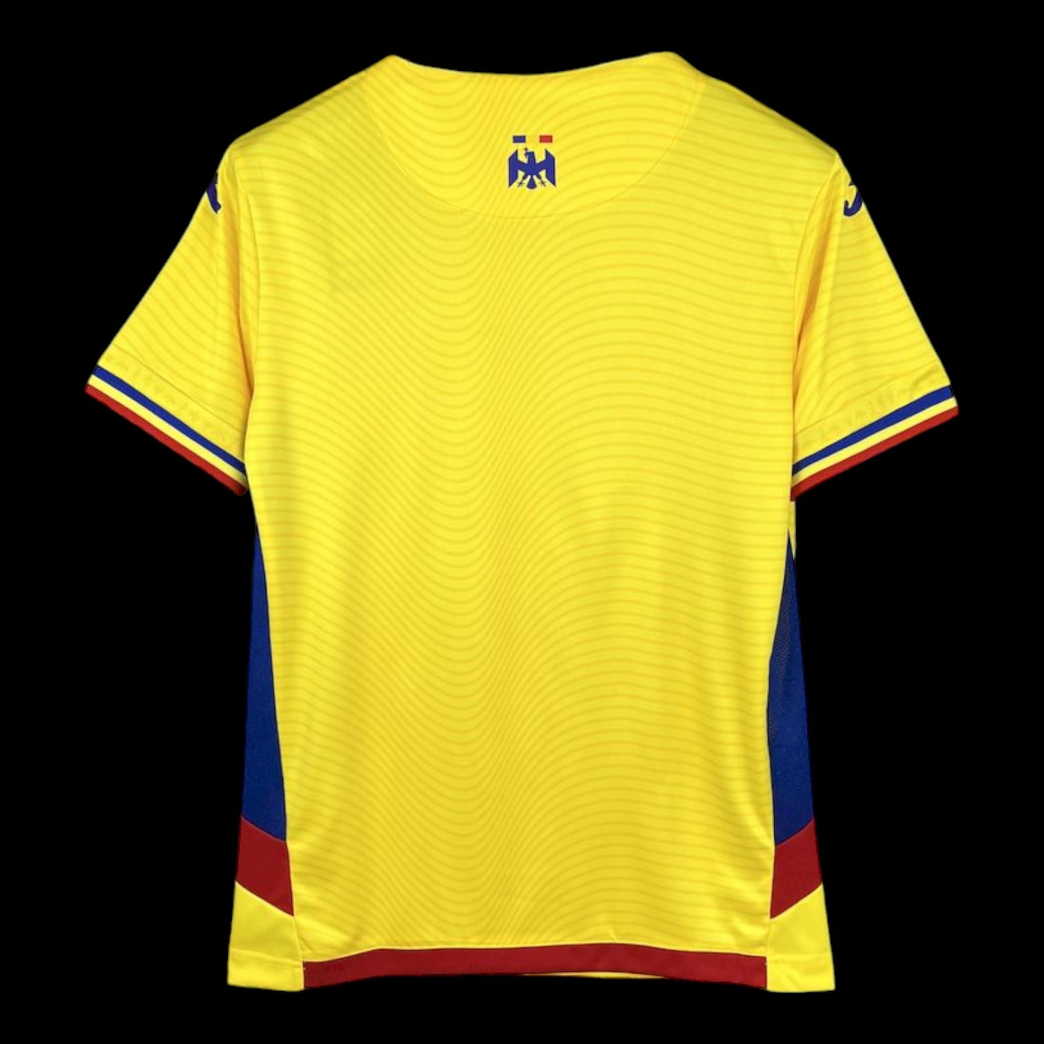 Maillot Roumanie Domicile 2025/26